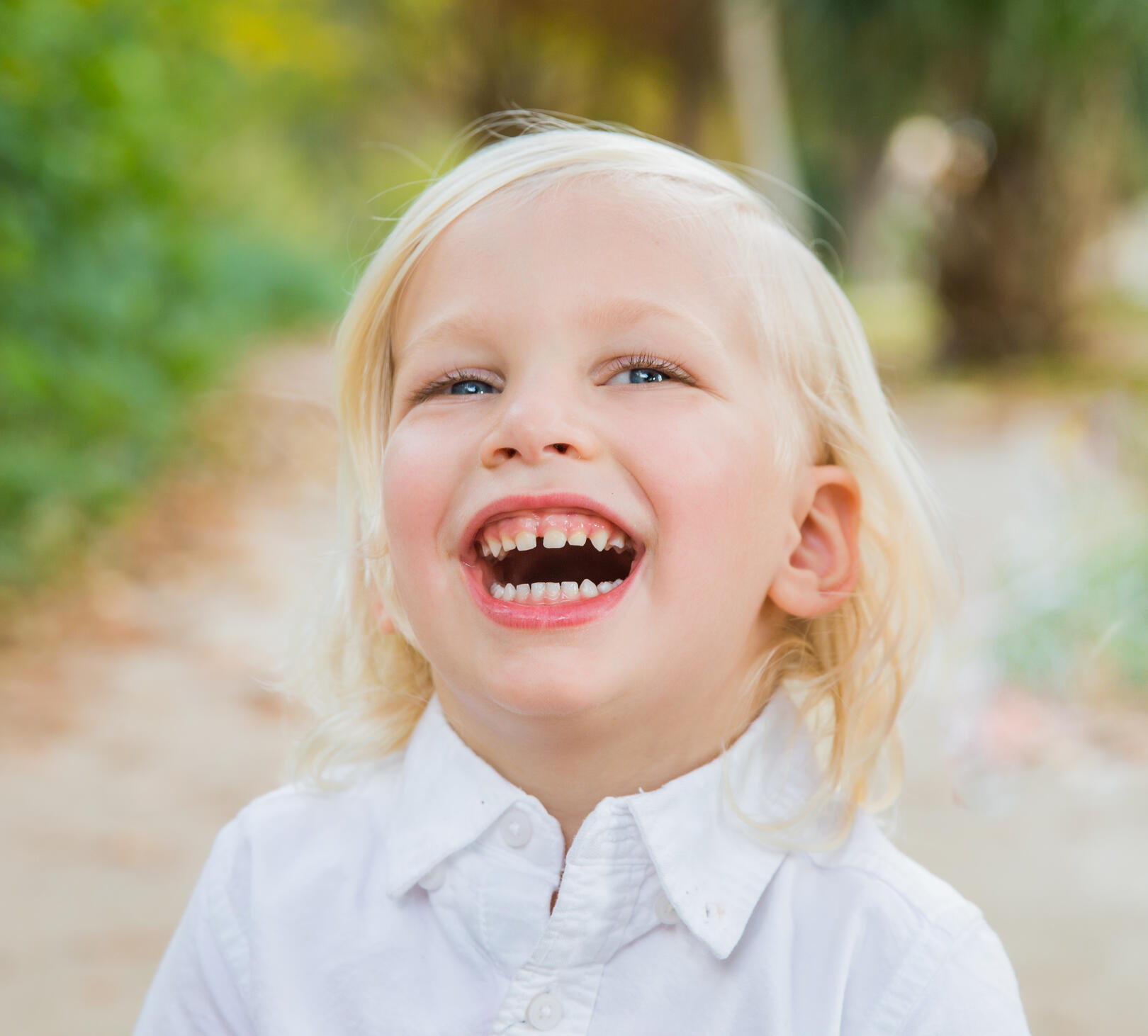 Serving San Antonio Serving San Antonio